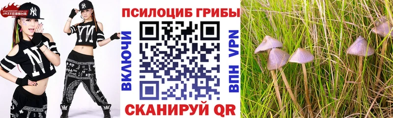 darknet телеграм  Шебекино  Псилоцибиновые грибы MAGIC MUSHROOMS 